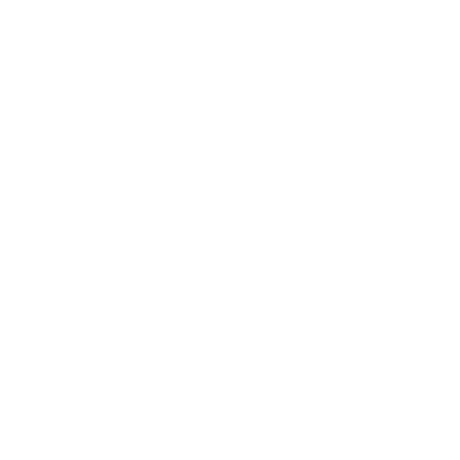 Wheelchair Access