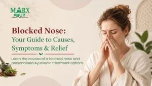 Blocked Nose Blog Banner