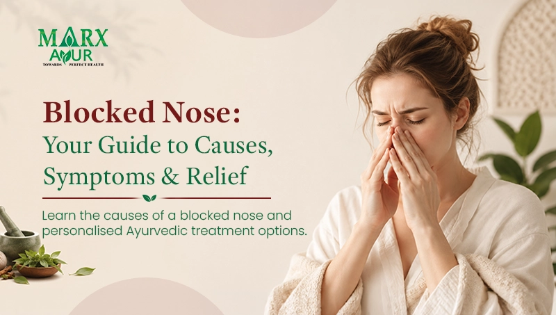 Blocked Nose Blog Banner