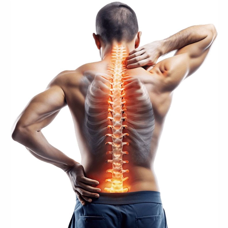 What is Musculoskeletal Pain - Marx Ayur Ayurvedic Clinic