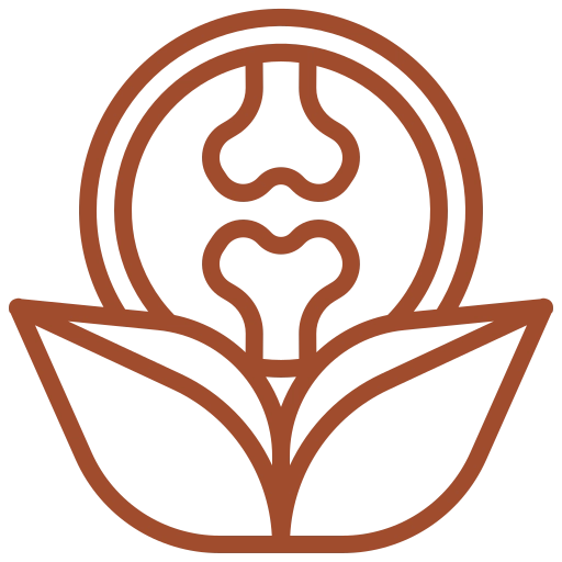 Joint Health Support